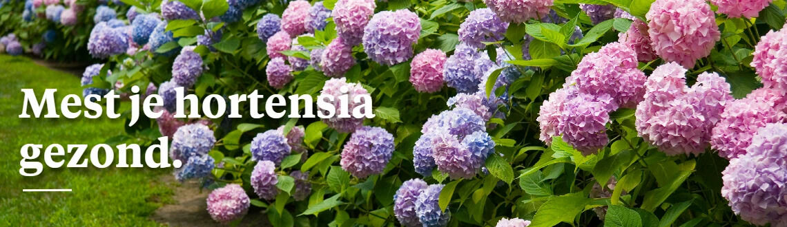 [paste advice page name here]